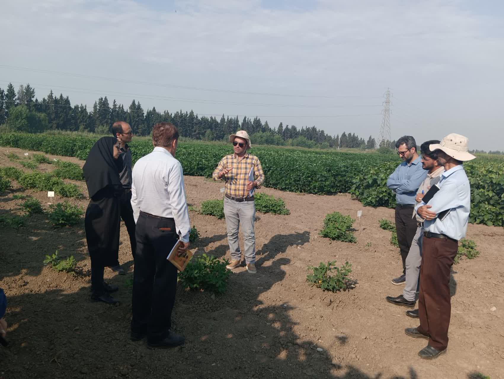 بازدیداعضای هیئت علمی دانشگاه علوم کشاورزی و منابع طبیعی ساری و مرکز تحقیقات 